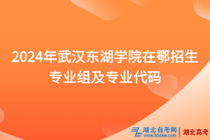 2024年武漢東湖學(xué)院在鄂招生專業(yè)組及專業(yè)代碼