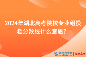 2024年湖北高考院校專業(yè)組投檔分?jǐn)?shù)線什么意思？