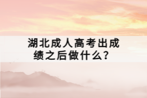 湖北成人高考出成績(jī)之后做什么？