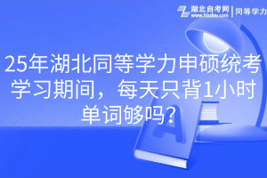 25年湖北同等學(xué)力申碩統(tǒng)考學(xué)習(xí)期間，每天只背1小時(shí)單詞夠嗎？