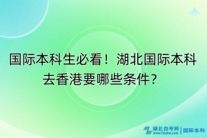 國際本科生必看！湖北國際本科去香港要哪些條件？