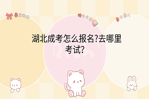 湖北成考怎么報(bào)名?去哪里考試？