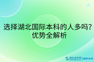 選擇湖北國(guó)際本科的人多嗎？?jī)?yōu)勢(shì)全解析