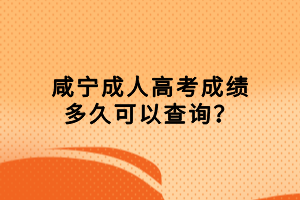 咸寧成人高考成績多久可以查詢？