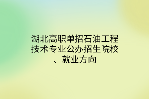 湖北高職單招石油工程技術(shù)專業(yè)公辦招生院校、就業(yè)方向