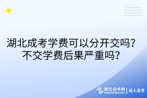 湖北成考學(xué)費(fèi)可以分開交嗎？不交學(xué)費(fèi)后果嚴(yán)重嗎？