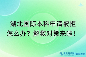 湖北國際本科申請被拒怎么辦？解救對策來啦！