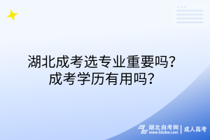 湖北成考選專業(yè)重要嗎？成考學(xué)歷有用嗎？