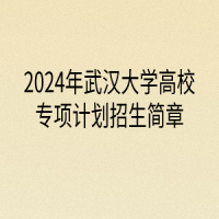2024年武漢大學(xué)高校專項(xiàng)計(jì)劃招生簡章