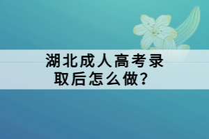 湖北成人高考錄取后怎么做？