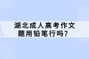 湖北成人高考作文題用鉛筆行嗎？