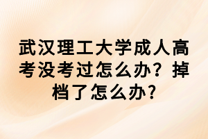 武漢理工大學(xué)成人高考沒考過怎么辦？掉檔了怎么辦?