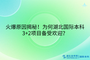 火爆原因揭秘！為何湖北國(guó)際本科3+2項(xiàng)目備受歡迎？