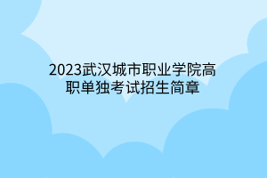 2023武漢城市職業(yè)學(xué)院高職單獨(dú)考試招生簡(jiǎn)章