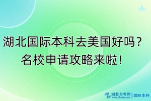 湖北國際本科去美國好嗎？名校申請攻略來啦！
