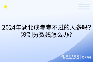 2024年湖北成考考不過的人多嗎？沒到分數(shù)線怎么辦？