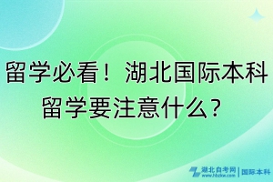 留學(xué)必看！湖北國際本科留學(xué)要注意什么？
