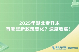 2025年湖北專升本有哪些新政策變化？速度收藏！