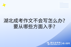 湖北成考作文不會寫怎么辦？要從哪些方面入手？