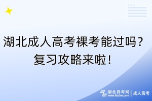 湖北成人高考裸考能過嗎？復(fù)習(xí)攻略來啦！
