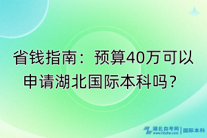 省錢指南：預算40萬可以申請湖北國際本科嗎？
