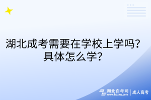 湖北成考需要在學(xué)校上學(xué)嗎？具體怎么學(xué)？