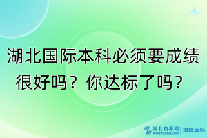 湖北國際本科必須成績很好嗎？你達標了嗎？