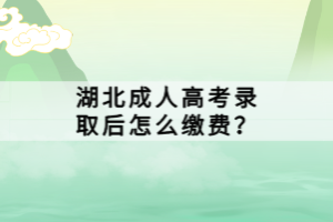 湖北成人高考錄取后怎么繳費？