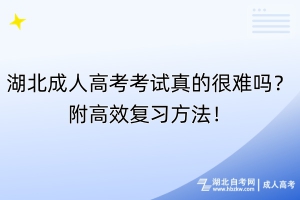 湖北成人高考考試真的很難嗎？附高效復(fù)習(xí)方法！