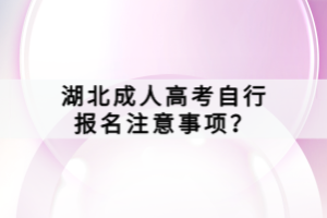 湖北成人高考自行報名注意事項？
