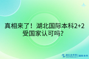 真相來了！湖北國際本科2+2受國家認可嗎？
