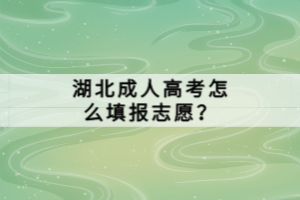 湖北成人高考怎么填報(bào)志愿？