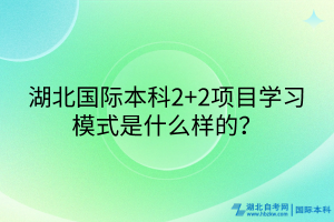 湖北國(guó)際本科2+2項(xiàng)目學(xué)習(xí)模式是什么樣的？