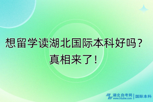 想留學(xué)讀湖北國(guó)際本科好嗎？真相來(lái)了！