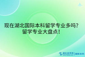 現(xiàn)在湖北國際本科留學(xué)專業(yè)多嗎？留學(xué)專業(yè)大盤點(diǎn)！