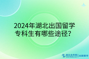 2024年湖北出國留學(xué)?？粕心男┩緩剑?></a></div>
								<div   id=