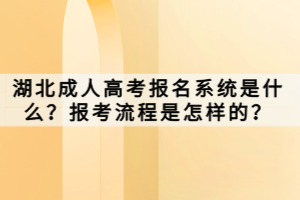 湖北成人高考報(bào)名系統(tǒng)是什么？報(bào)考流程是怎樣的？