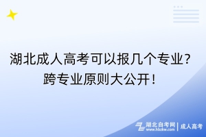 湖北成人高考可以報(bào)幾個(gè)專(zhuān)業(yè)？跨專(zhuān)業(yè)原則大公開(kāi)！