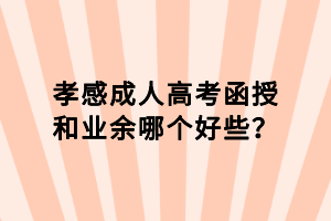 孝感成人高考函授和業(yè)余哪個(gè)好些？