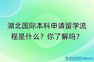 湖北國際本科申請留學(xué)流程是什么？你了解嗎？