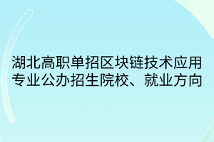 湖北高職單招區(qū)塊鏈技術(shù)應(yīng)用專業(yè)公辦招生院校、就業(yè)方向