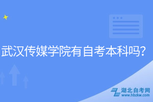 武漢傳媒學(xué)院有自考本科嗎？
