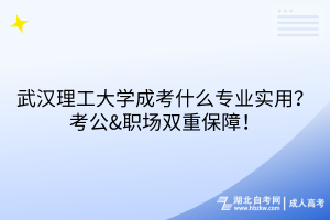 武漢理工大學成考什么專業(yè)實用？考公&職場雙重保障！
