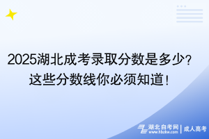 2025湖北成考錄取分數是多少？這些分數線你必須知道！