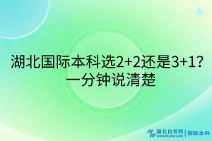 湖北國際本科選2+2還是3+1？一分鐘說清楚
