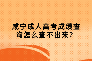咸寧成人高考成績查詢怎么查不出來？