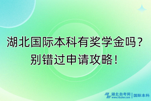 湖北國際本科有獎(jiǎng)學(xué)金嗎？別錯(cuò)過申請攻略！