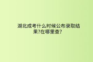 湖北成考什么時候公布錄取結果?在哪里查？