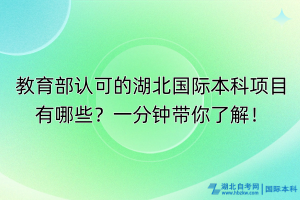 教育部認可的湖北國際本科項目有哪些？一分鐘帶你了解！