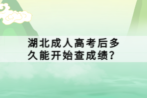 湖北成人高考后多久能開始查成績？